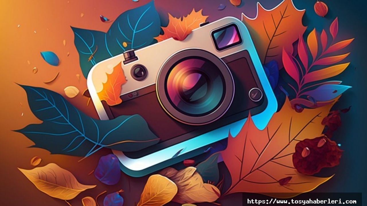 Instagram'dan Videolar, Hikayeler ve Fotoğraflar Nasıl Kaydedilir?