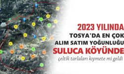 2023 YILINDA TOSYA'DA TAŞINMAZ ALIM SATIM EN ÇOK SULUCA KÖYÜNDE