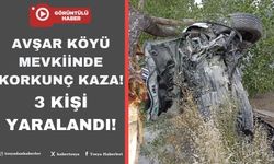 Avşar Köyü Mevkiinde Korkunç Kaza