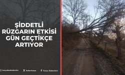 Tosya'da Şiddetli Rüzgarın Etkisi