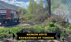 Ekincik Köyü Kavşağında Ot Yangını