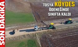 TOSYA KÖYDES ÖDENEĞİ SIRALAMASINDA SINIFTA KALDI