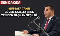 AK Parti Tosya’da Güven Tazeledi