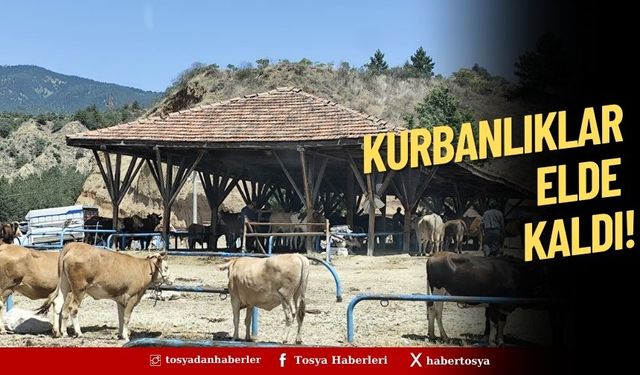 Jandarma Teşkilatı'nın 185. Yıldönümü Kutlandı