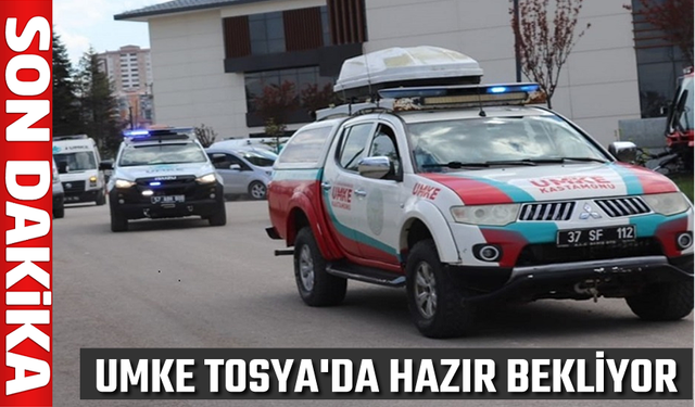 UMKE TOSYA'DA HAZIR BEKLİYOR