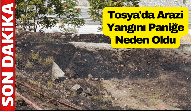 Tosya'da Arazi Yangını Paniğe Neden Oldu