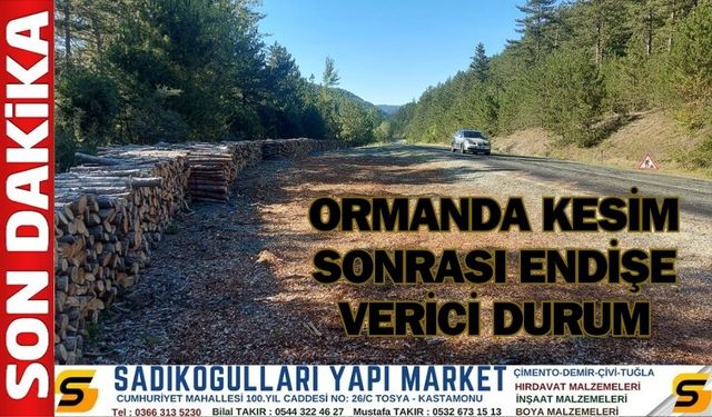 Ormanda Kesim Sonrası Endişe Verici Durum