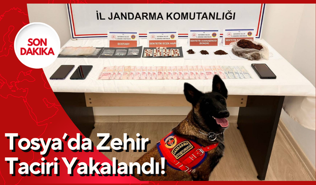 Tosya’da Zehir Taciri Yakalandı!