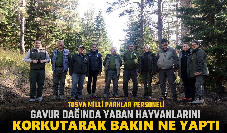TOSYA MİLLİ PARKLAR GAVUR DAĞINDA HAYVANLARI KORKUTTU