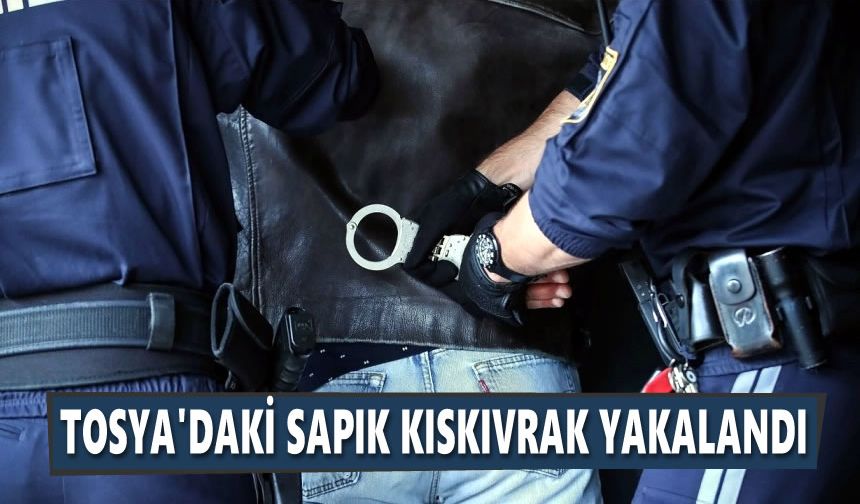ARANAN 2 ŞAHIS TOSYA'DA TUTUKLANDI