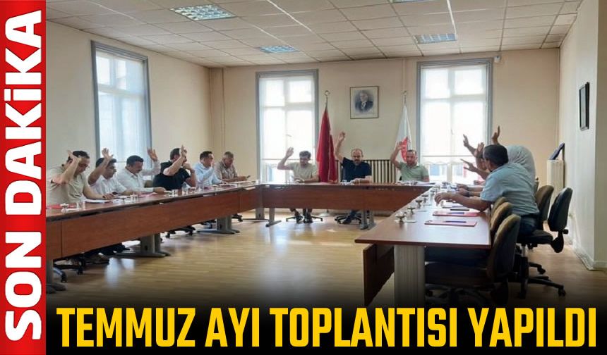 TOSYA BELEDİYESİ TEMMUZ AYI MECLİS TOPLANTISI