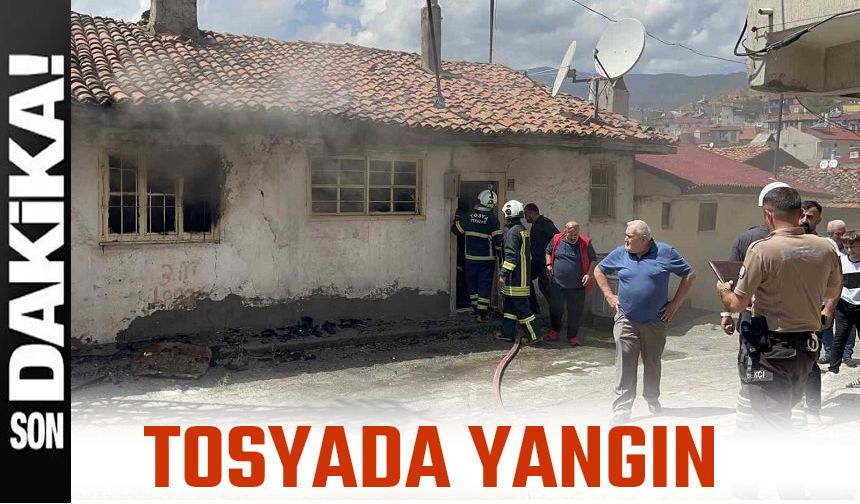 TOSYA'DA YANGIN PANİĞE NEDEN OLDU